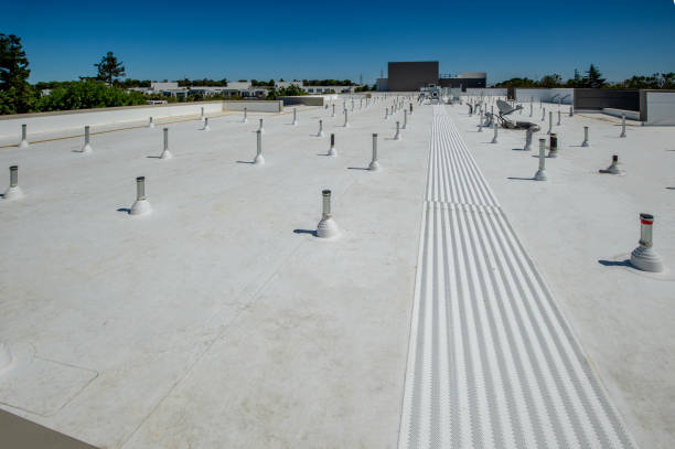 Best Cold Roofs  in Loudonville, OH